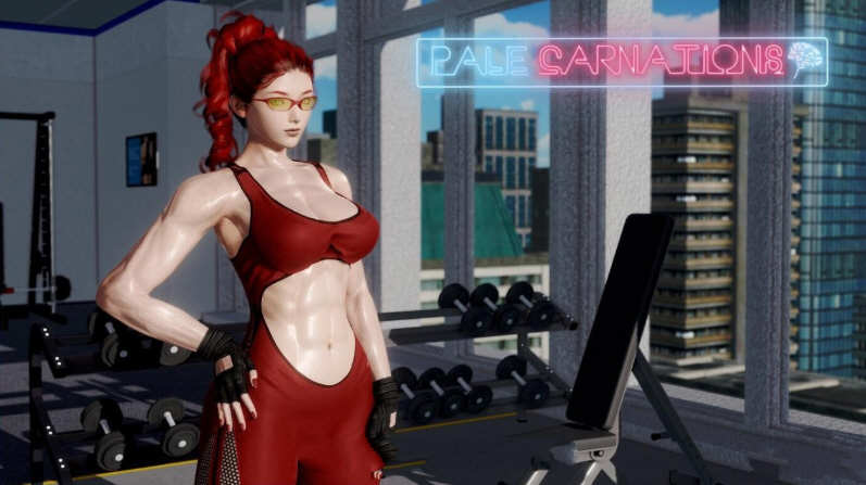 图片[4]-x790康乃馨俱乐部 Ch4Up2 V4.2 精翻汉化版 PC+安卓 SLG-11