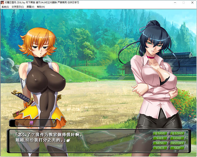 图片[3]-c323 对魔忍雪风 AI精翻完整汉化版 pc＋安卓joi-11