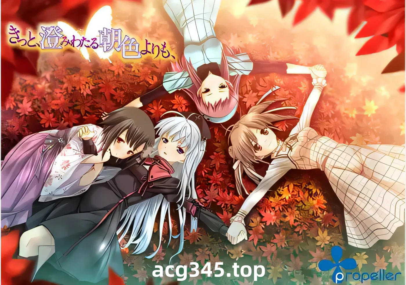 w251  从晴朗的朝色泛起之际开始 汉化硬盘版+特典 [新作/3.2G]-11