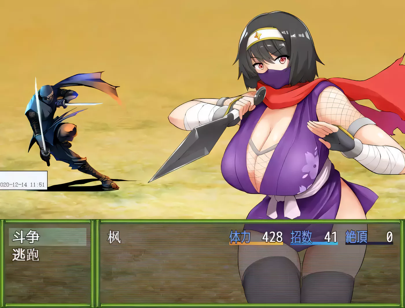 图片[3]-【RPG/中文】女忍者-枫 DL官方中文版+存档[スタジオねこキック]【800M/全CV】-11