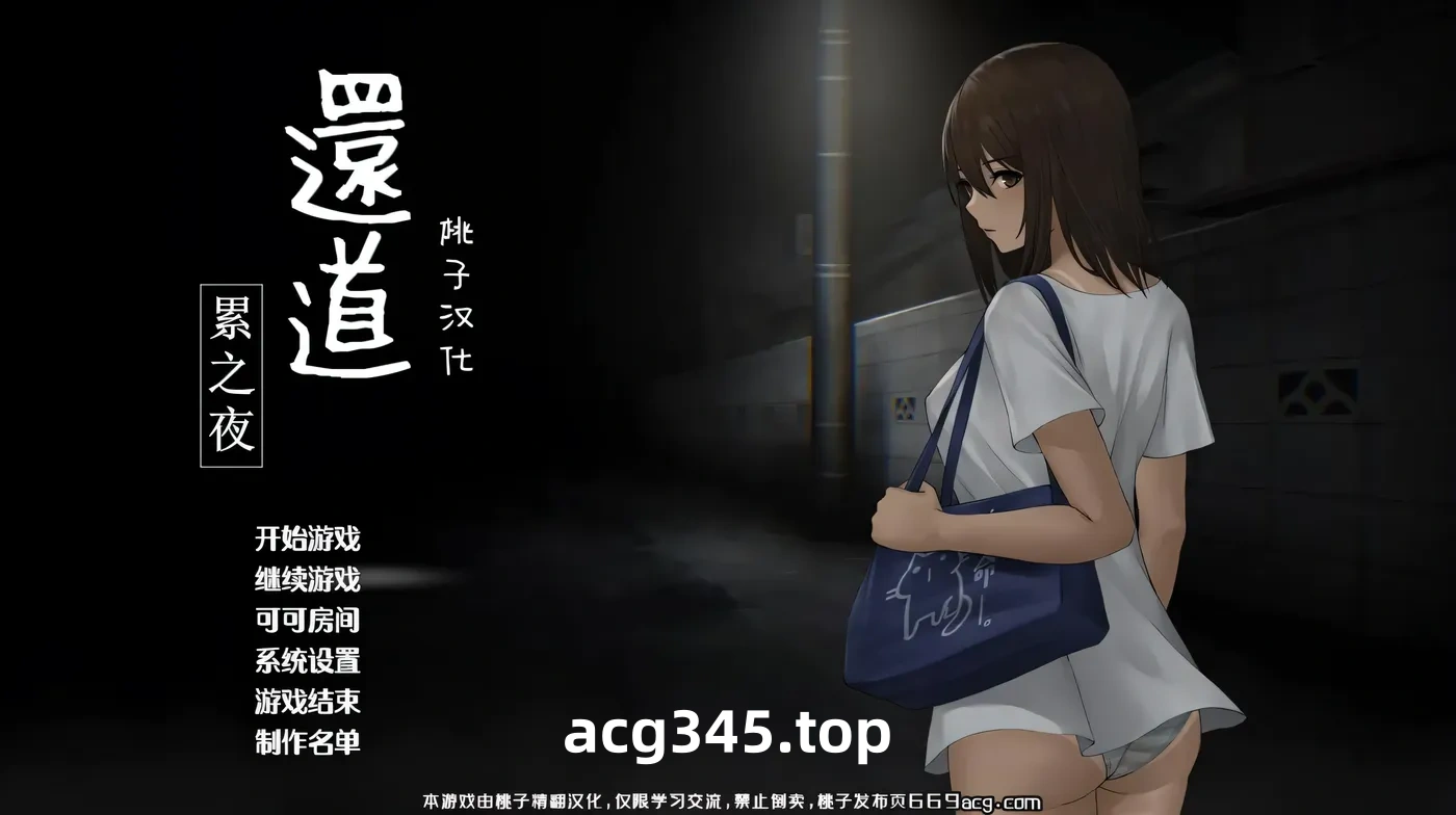 w26 归途-累之夜- 官方简体中文版[更新/460M]-11