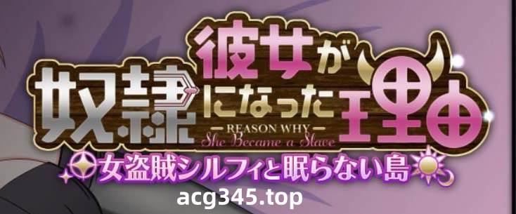 【超大作RPG/汉化】她沦为奴隶的理由-女盗贼希尔菲与不眠岛 云汉化/付CG【2G/新汉化】-11