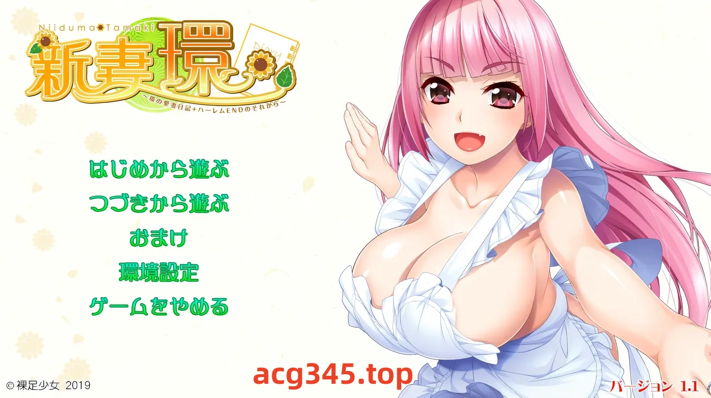 w531  新妻环 环的爱妻日记 + 后来的后宫结局Ver1.1 AI汉化版+全CG存档 [新作/2.2G]-11