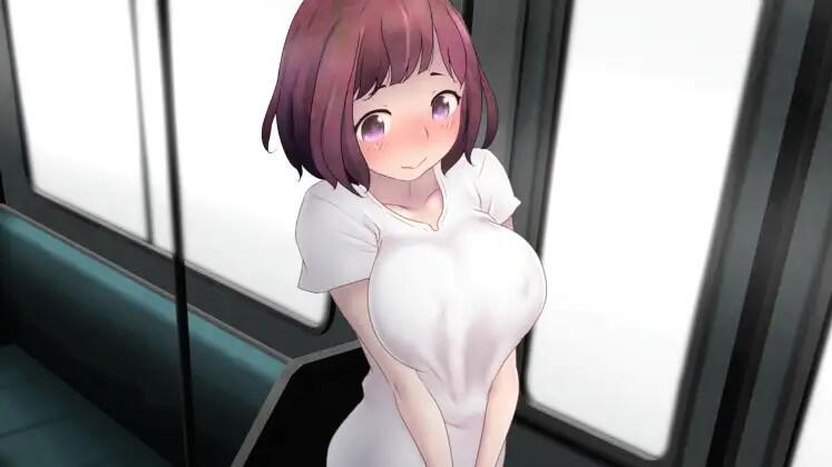 图片[3]-w21 歼状痴汉电车-最狂线  DL正式版-11