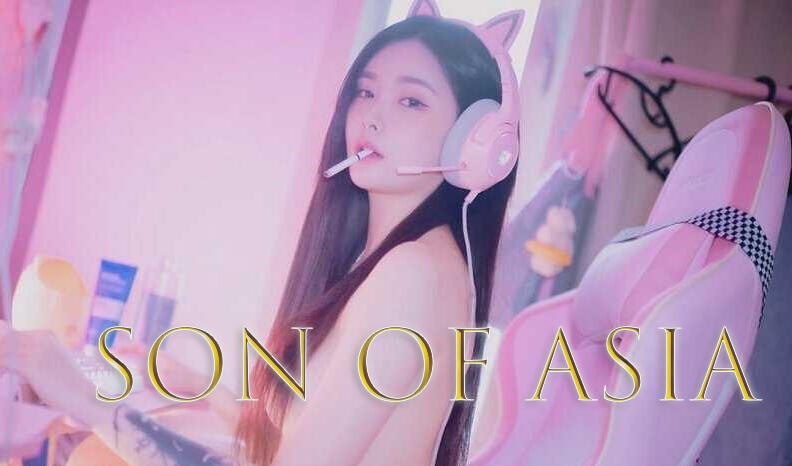 图片[2]-w1822亚洲之子/Son Of Asia V6.0FF 官方中文＋水上乐园 大型 MOD  31G-11