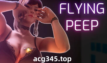w2353 飞行偷看 Flying Peep  Steam 官方中文-11