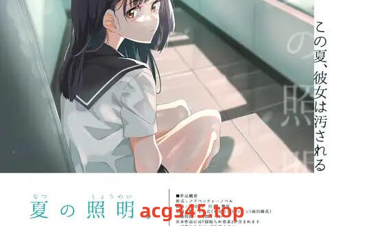 w1958 夏季照明。 AI汉化-11