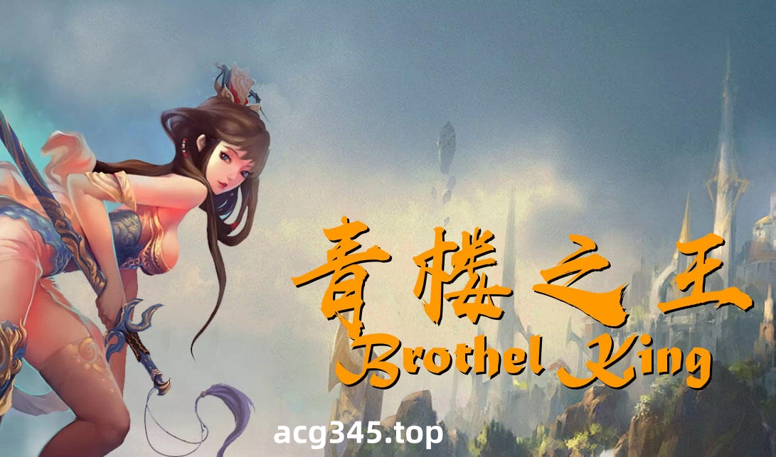 w2389青楼之王/Brothel King V3.0 精翻汉化-11