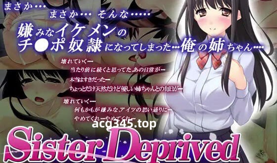 w2070 被剥夺的姐姐/Sister Deprived AI汉化  全CG存档-11