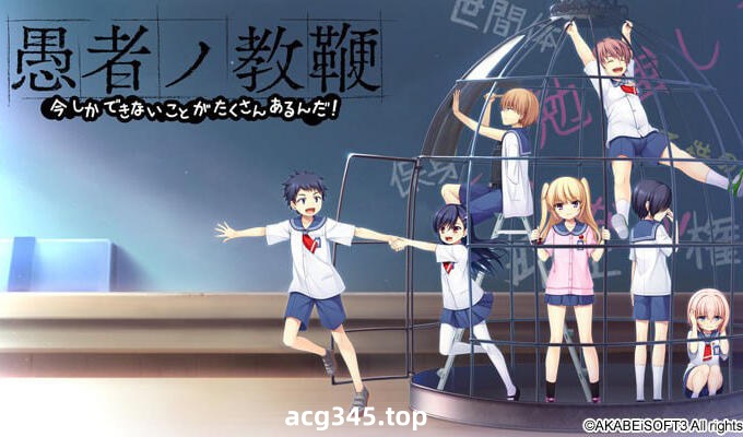 w2096 愚者的教鞭  AI汉化 全CG存档-11