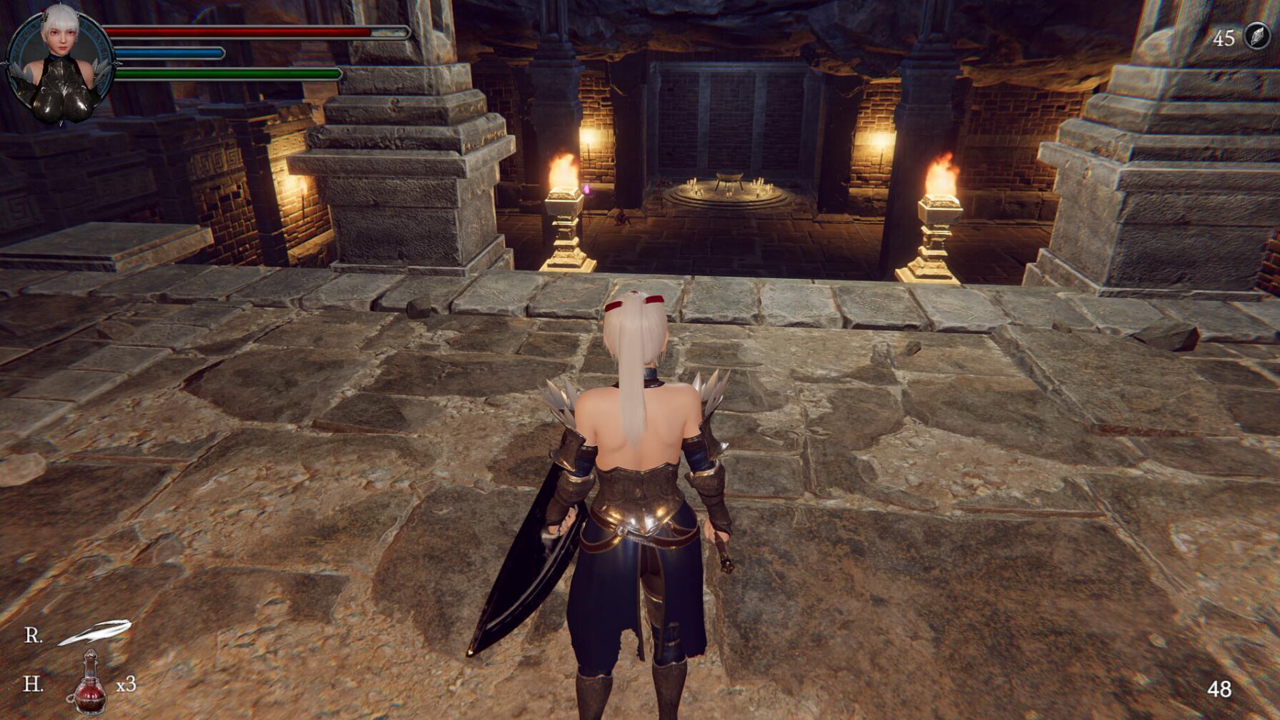 图片[3]-x1579地下城的女骑士 Steam官方中文 [新作/1.6G]-11