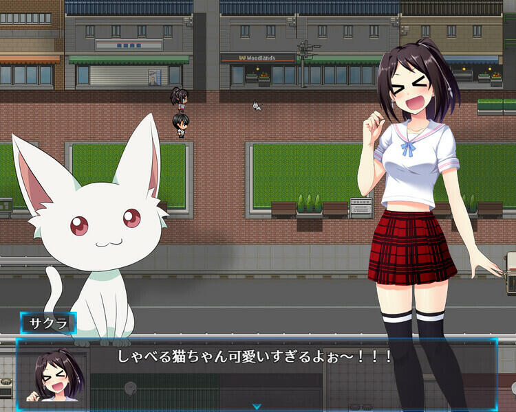 图片[5]-w2175 光樱闪姫普利塞 +DLC  Steam官方中文-11