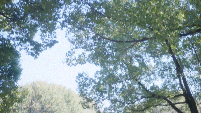 图片[5]-w2150 女神保卫战 Steam官方中文 真人SLG  71G-11