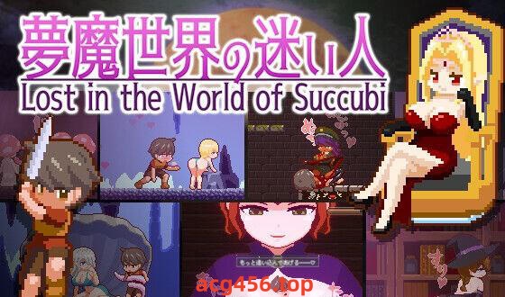 x2256 魅魔世界的迷途人V1.01 DL官方中文 [新作/1.2G][PC+安卓]-11