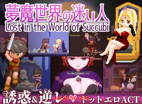 x2331梦魔世界的迷失者 V1.0 (夢魔世界の迷い人) DL官方中文[新作/370M]-11