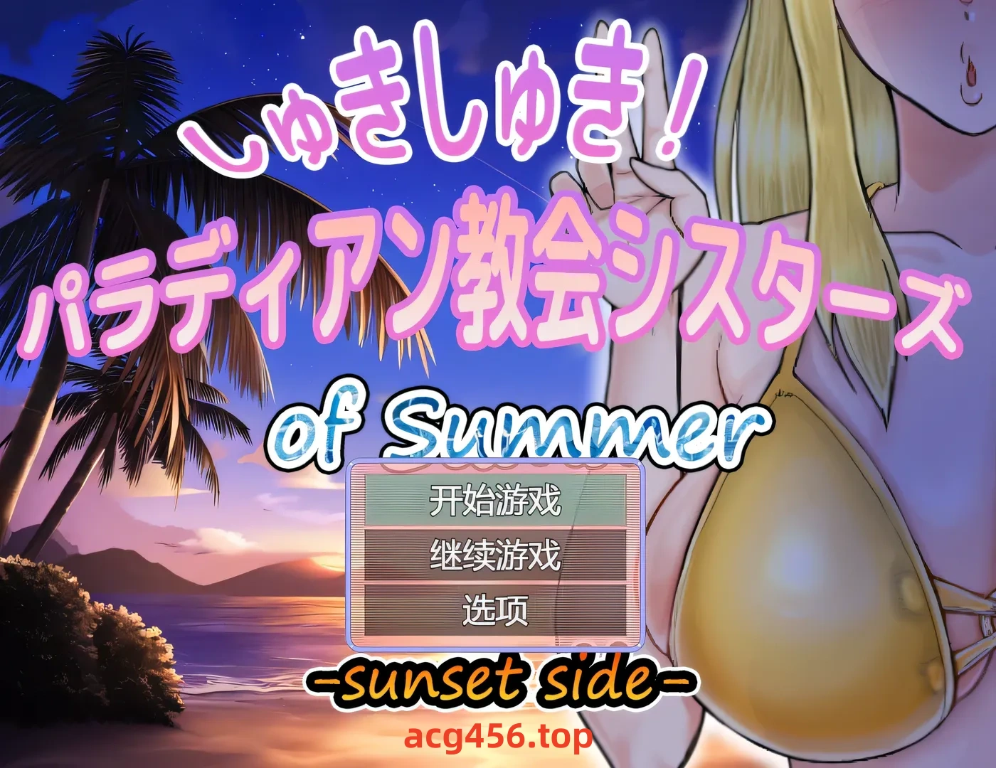 x2596 超喜欢！帕拉迪安教会的修女们 挂载AI汉化版+存档 [新作/530M]-11