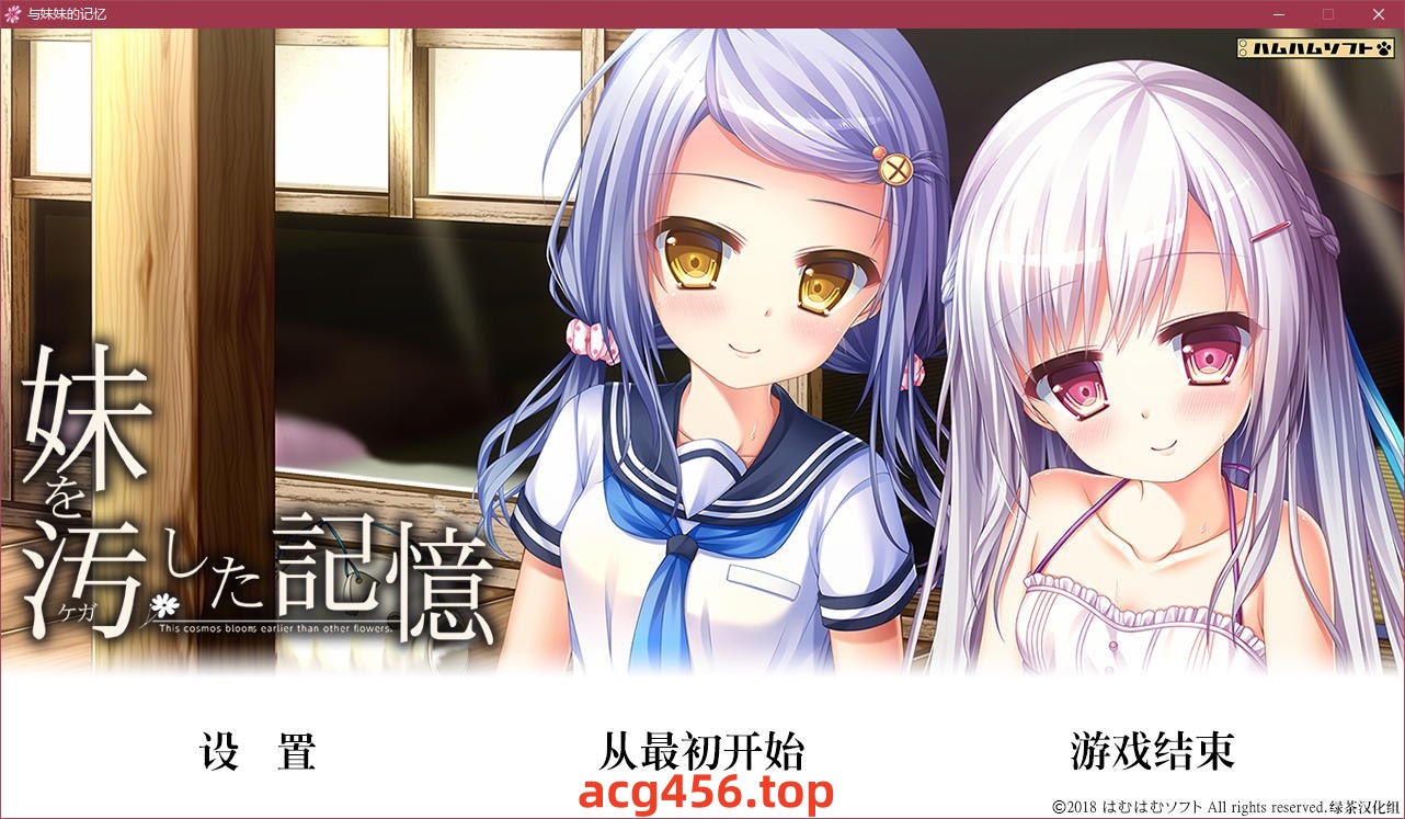 t5002 与妹妹的记忆 汉化版 [2G]-11