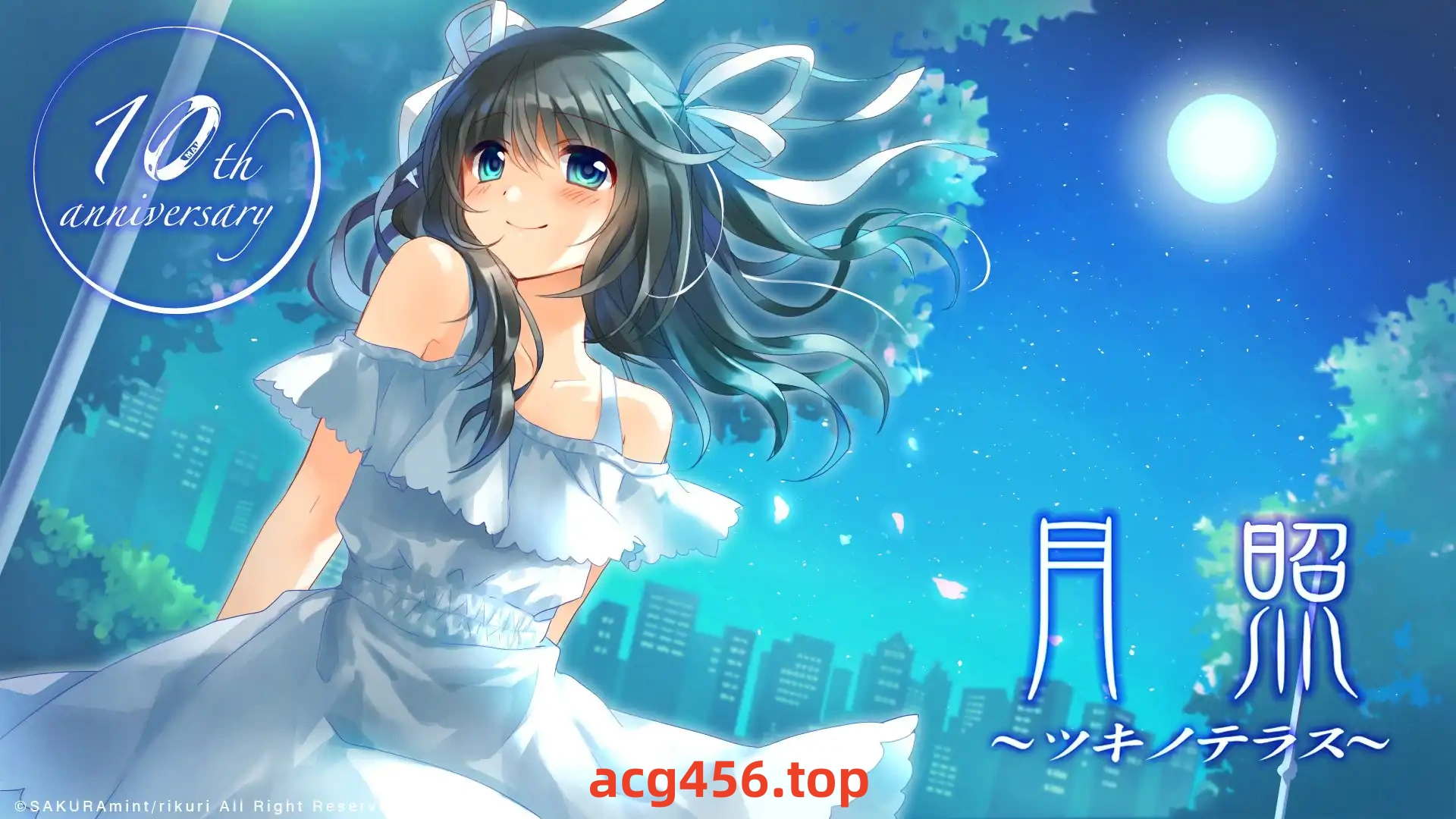 x8013另一个我 V1.02 汉化免安装版[新作/100M]-11