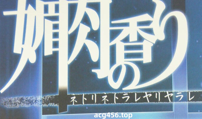 t2362 媚肉之香+番外 精翻汉化[2.5G]-11