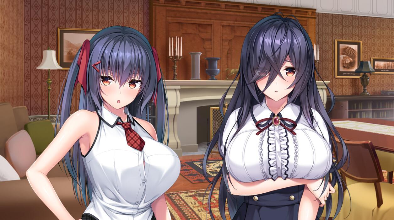 图片[4]-t2072 ROLEPLAYER：小粥姐妹的黏膜游戏 汉化版[新作/6G]-11