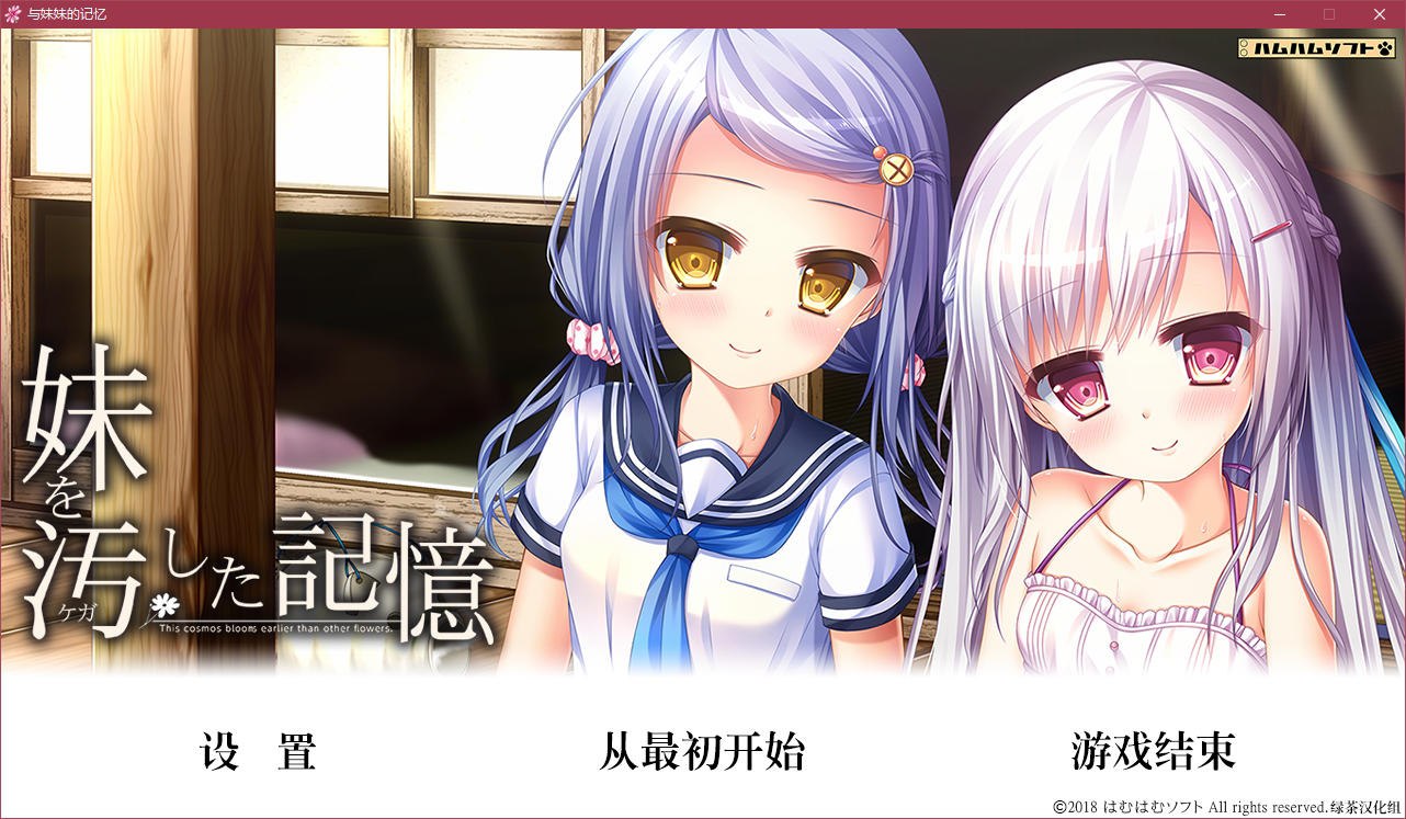 图片[2]-t5002 与妹妹的记忆 汉化版 [2G]-11