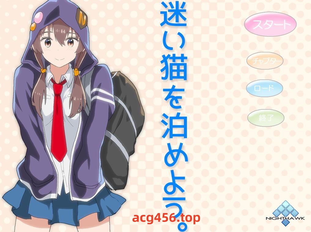 t2906 Nighthawk  7部合集 全动态 汉化版[更新/3.1G]-11