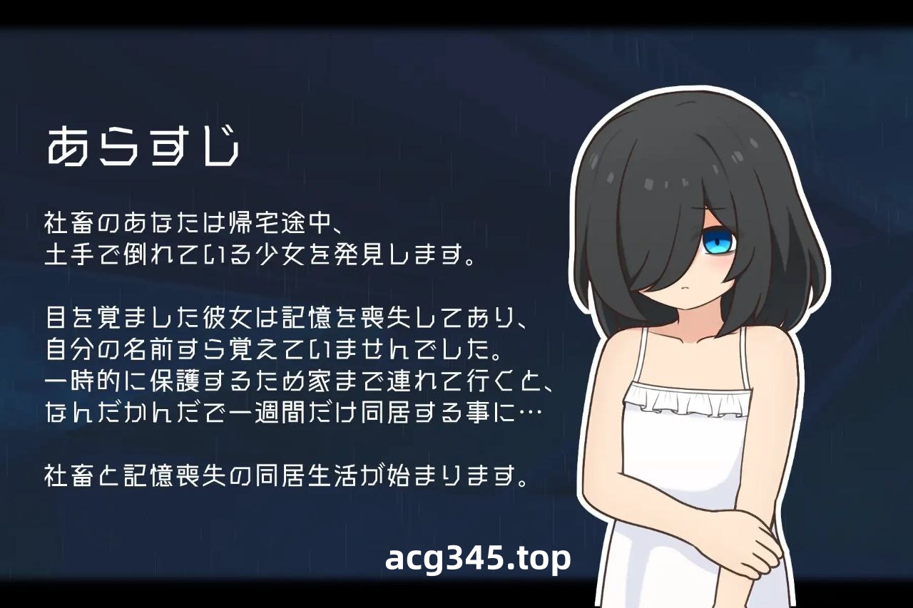 t3072失忆少女 Little sister 汉化版[新作/500M][PC+安卓]-11