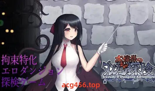 t2870千金小姐的地下城大冒险 V1.09.1 DL官方中文 [新作/1.1G]-11