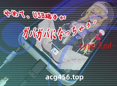 t2881快住手、USB接口要松掉了！挂载AI汉化版 [新作/1.2G]-11