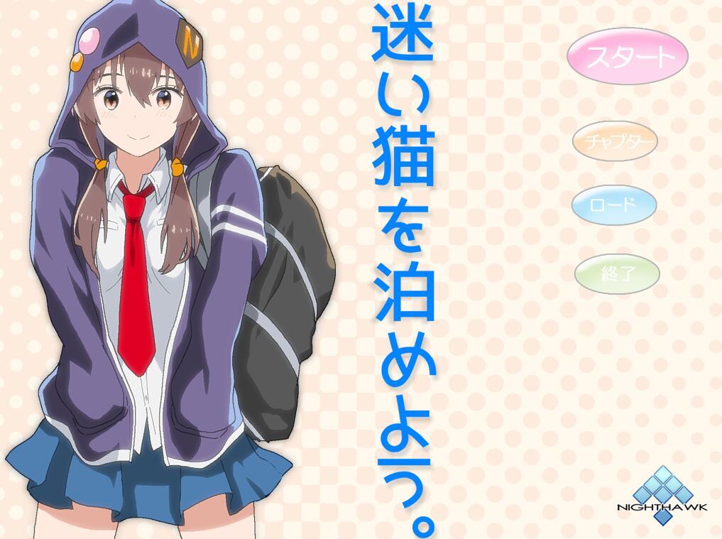 图片[2]-t2906 Nighthawk  7部合集 全动态 汉化版[更新/3.1G]-11