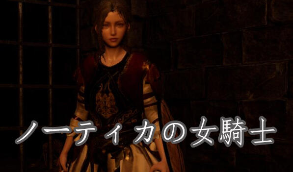 t2171 诺蒂卡的女骑士 官方中文[新作/1.3G]-11
