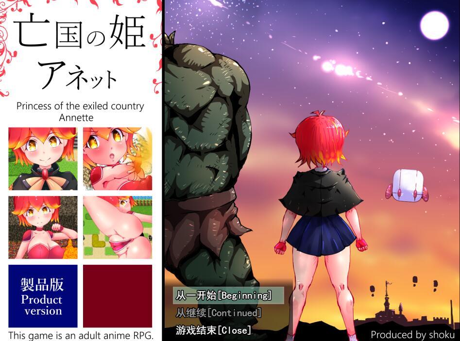 图片[2]-x40200亡国公主安妮特 汉化版[新作/1.7G]-11