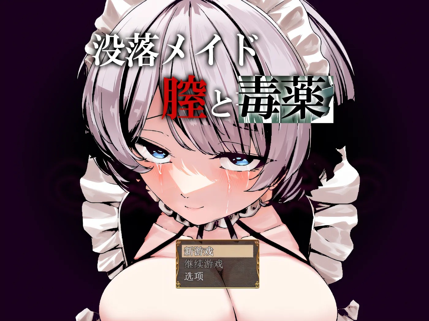 x50324堕落的女仆：阴道与毒药 V1.0 云翻汉化版 [新作/1.6G]-11