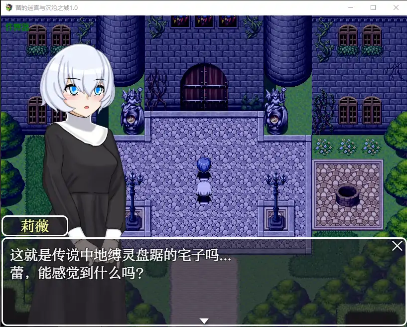 图片[3]-b118蕾的迷宫与沉沦之城 V1.0 AI汉化版[新作/680M][PC＋安卓]-11