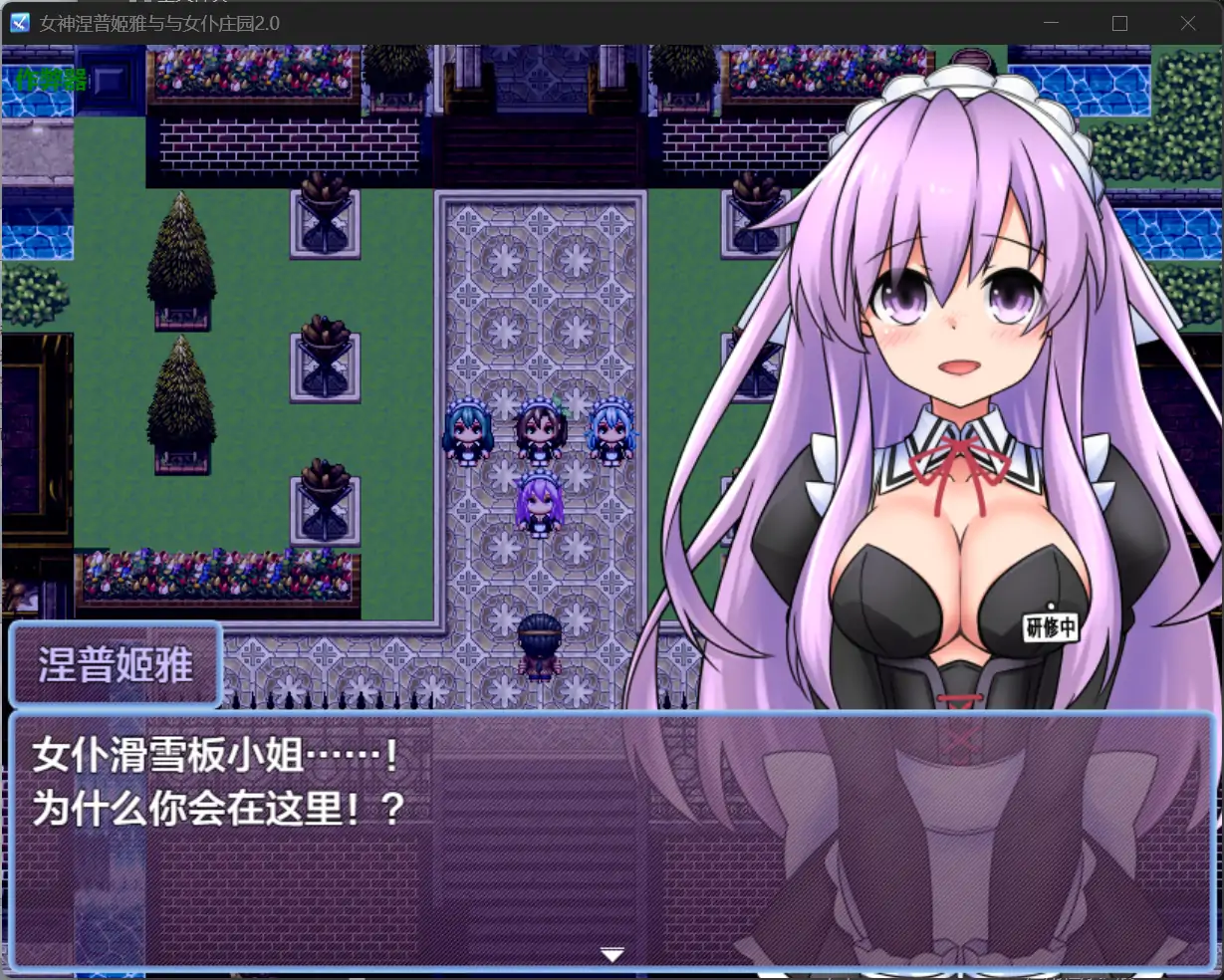 图片[3]-x70591女神涅普姬雅与与女仆庄园V2.0 AI汉化版[新作/600M][PC+安卓]-11