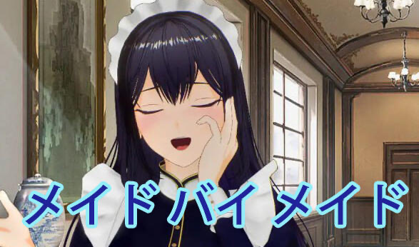 x20470女仆制作[新作/800M]生肉-11