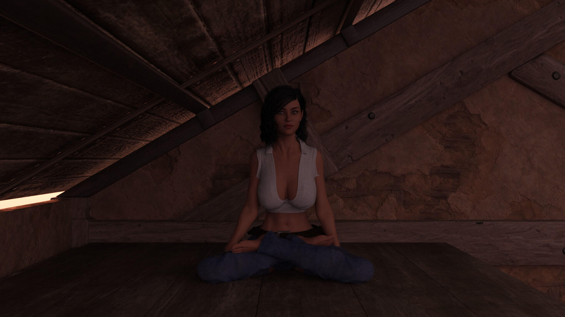 图片[4]-b20888狂野西部的布鲁克斯 V1.1 STEAM官中[新作/1.2G]-11