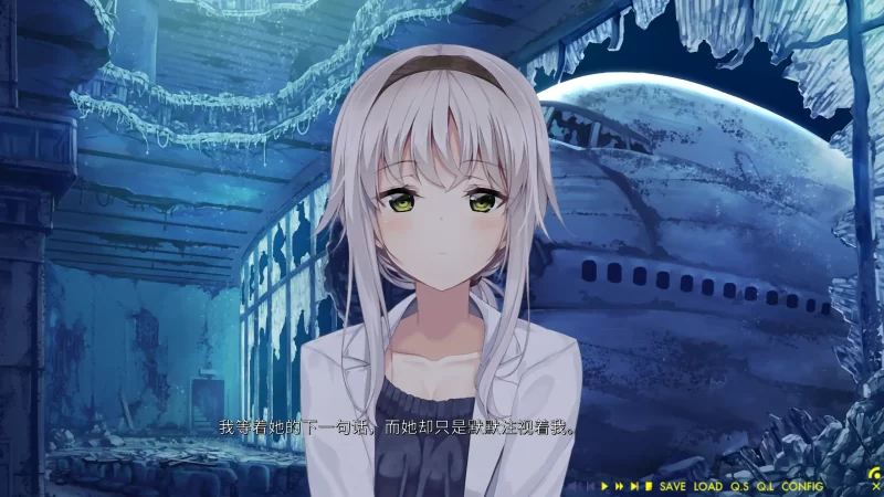 图片[5]-a256未来广播与人工鸽1.0 官方中文【PC/2.83G】-11