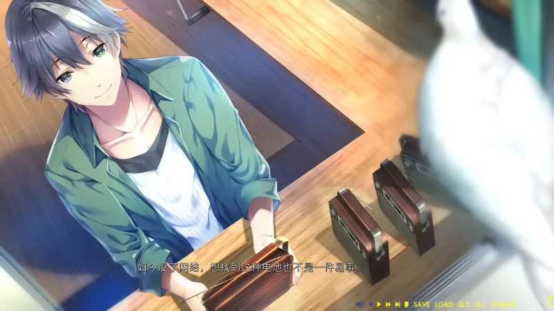 图片[2]-a256未来广播与人工鸽1.0 官方中文【PC/2.83G】-11