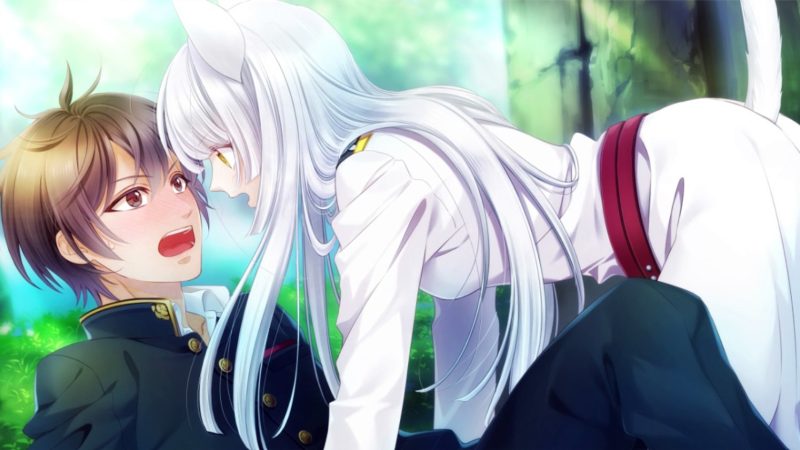 图片[2]-a3090 穿军靴的猫 官方中文【PC/4.8G/新作】-11