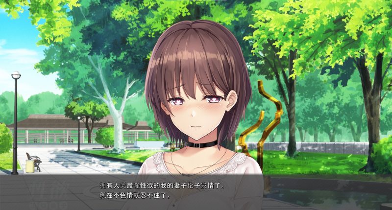 图片[5]-a3057 工口伦子系列 Vol.3 人类最强性欲老婆的姐姐【PC/1.8G/新作】-11