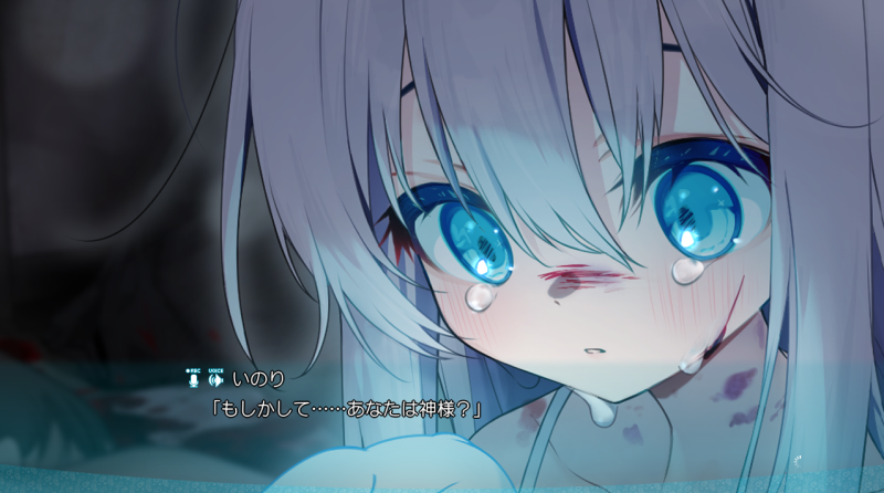 图片[4]-神明的选择 机翻汉化【PC/2.3G/新作】-乐游二次元