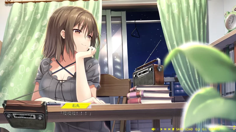 图片[4]-a256未来广播与人工鸽1.0 官方中文【PC/2.83G】-11