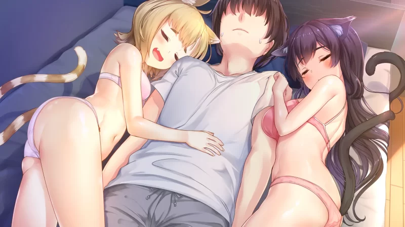 图片[5]-a145神社里的猫巫女 v1.03 官方中文【PC/0.72G】-11